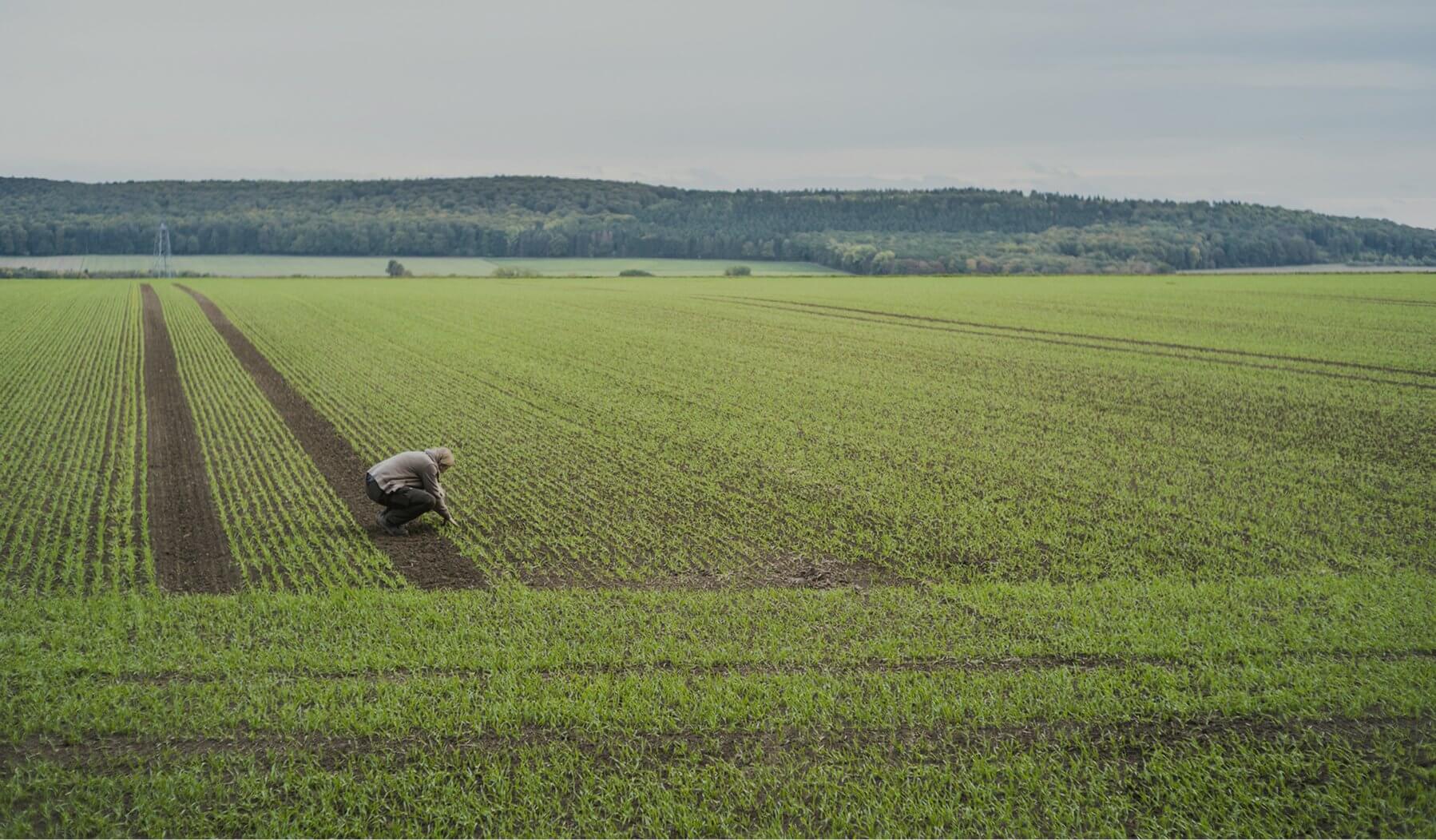 Imagen Totems España