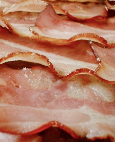 Bacon