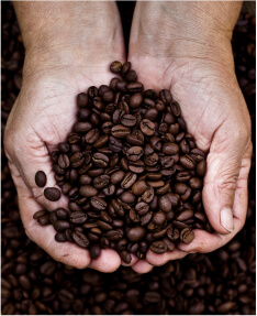 Otros productos McCafé®